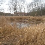 4a-Blick Von Osten Nach Westen