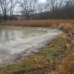 4a-Halle Dölauer Heide Harzklubstieg Weiher Blick Nach Südwesten