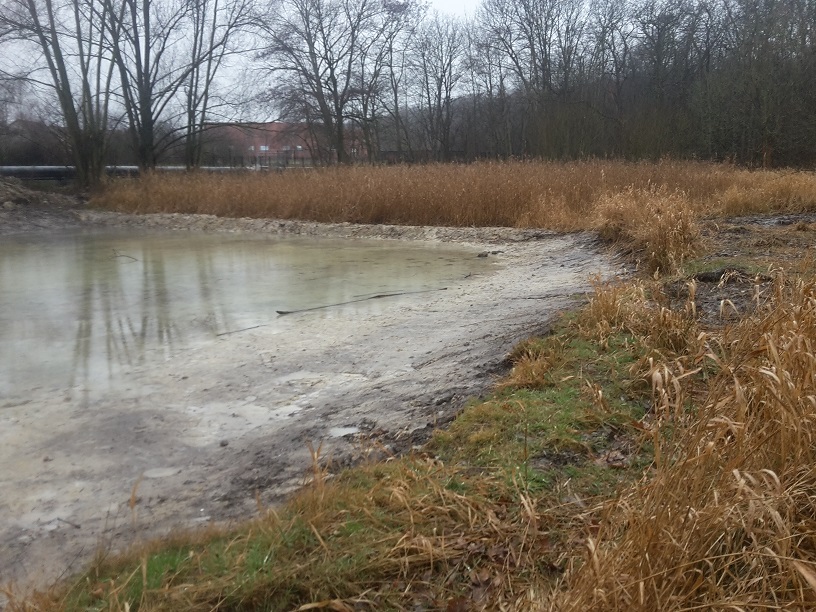 4a-Halle Dölauer Heide Harzklubstieg Weiher Blick Nach Südwesten