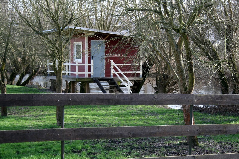 50a-Halle Beesen-Am Hohen Ufer Blick Nach Südosten Zu Weißer Elster