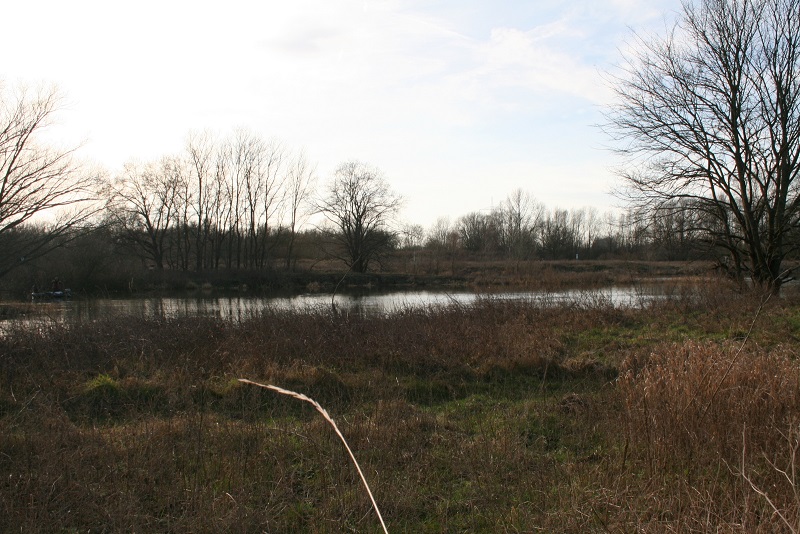 54a-Halle Beesen-Uferweg Weiße Elster Mit Blick Zur Mündung In Die Saale Nach Südwesten