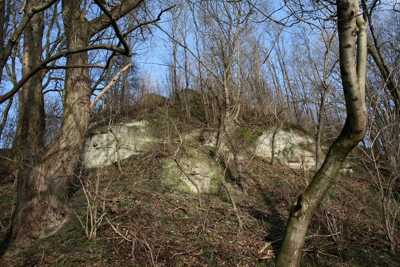 56a-Halle-Weg Zwischen Mündung Weiße Elster In Saale & Röpziger Brücke Blick Nach Norden Zu Buntsandstein