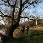 59a-Halle Blick Aus Richtung Röpziger Brücke Saaleabwärts Nach Nordwesten