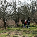 60a-Halle Weg Zwischen Röpziger Brücke & Pfingstanger Saaleabwärts Nach Nordwesten