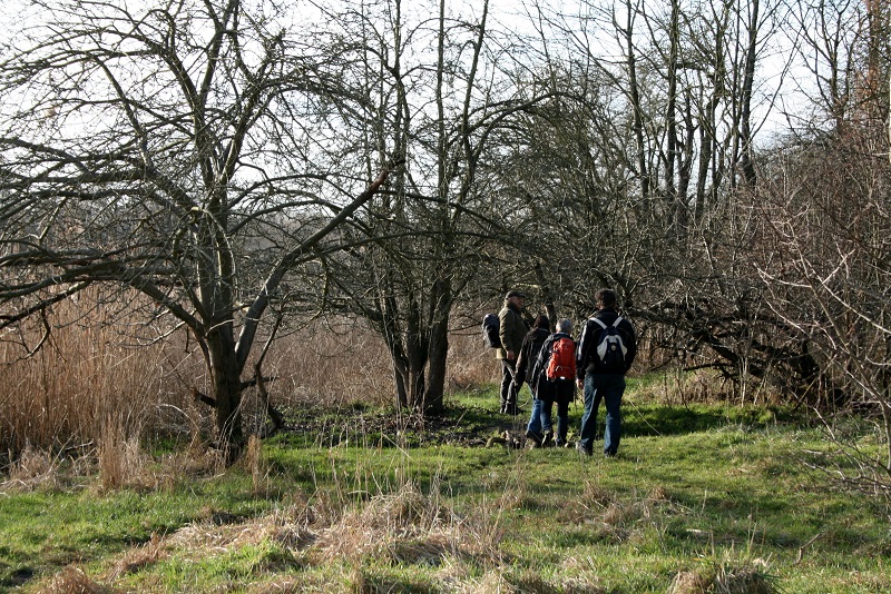 60a-Halle Weg Zwischen Röpziger Brücke & Pfingstanger Saaleabwärts Nach Nordwesten