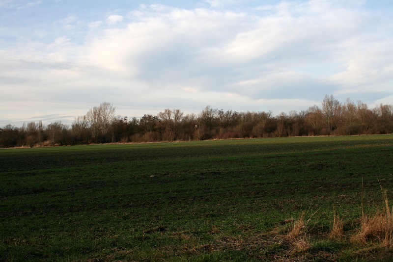 64a-Halle Westteil Pfingstanger Blick Nach Nordosten
