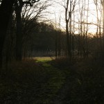 72a-Halle Nordwestteil Pfingstanger Blick Aus Auenwald Nach Südosten Zu Wiese