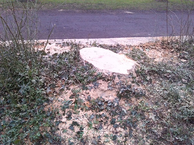 7a-Blick Vom Zugangsweg Amtsgarten In Richtung Promenade An Saale & Krug Zum Grünen Kranze Nach Nordosten (2)