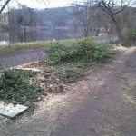 8a-Blick Vom Zugangsweg Amtsgarten In Richtung Promenade An Saale & Krug Zum Grünen Kranze & Klausberge Nach Nordosten (2)