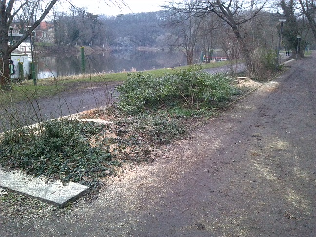 8a-Blick Vom Zugangsweg Amtsgarten In Richtung Promenade An Saale & Krug Zum Grünen Kranze & Klausberge Nach Nordosten (2)