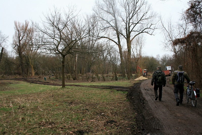 9a-Halle Blick Pulverweiden Nach Süden