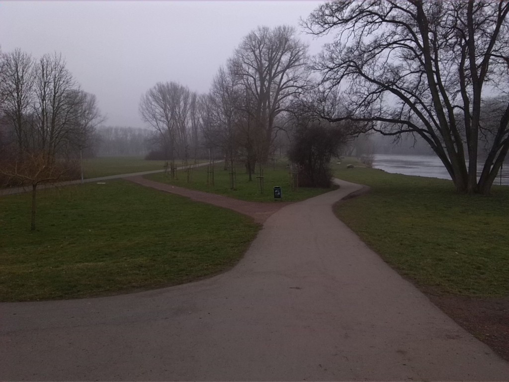 1-Halle Blick Von Der Ochsenbrücke Nach Südwesten Auf Nordwestteil Ziegelwiese  (1)