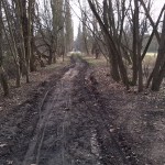 10a-Peißnitz Nordteil Mittelweg Blick Nach Süden (2)