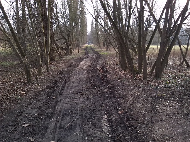 10a-Peißnitz Nordteil Mittelweg Blick Nach Süden (2)