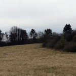 11-Niemberg Blick Nach Südwesten Auf Südwesthang Burgstetten