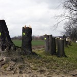 14a-Weißenfels Schkortleben Park Am Südostende Blick Nach Nordwesten