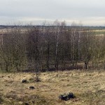 16a-Niemberg Blick Vom Burgstetten Nach Südwesten Nach Oppin