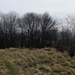 17a-Niemberg Blick Von Westen Auf Burgstetten