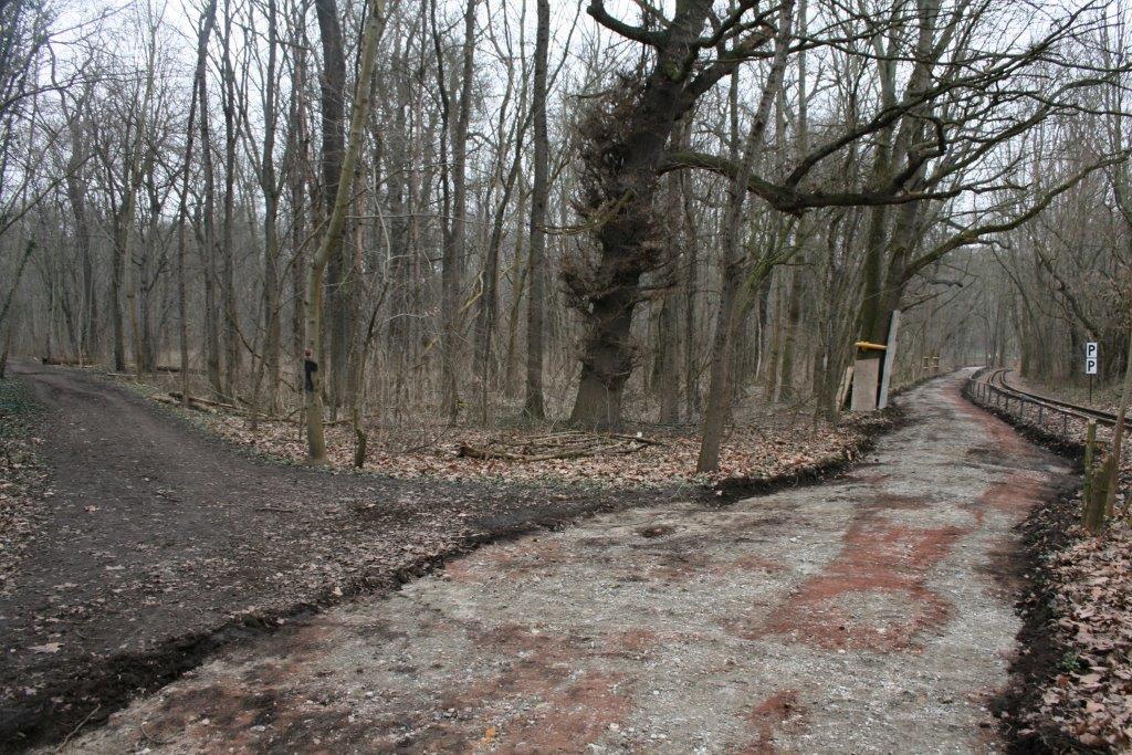 2-Halle Peißnitz Nordteil Blick Auf Wegegabelung Westweg & Südweg Peißnitznordspitze Nordosten