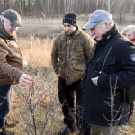 20-Braunsbedra Südufer Geiseltalsee Sanddorn