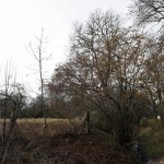 20a-Weißenfels Schkortleben Mündungsbereich Bach In Saale Blick Nach Westen