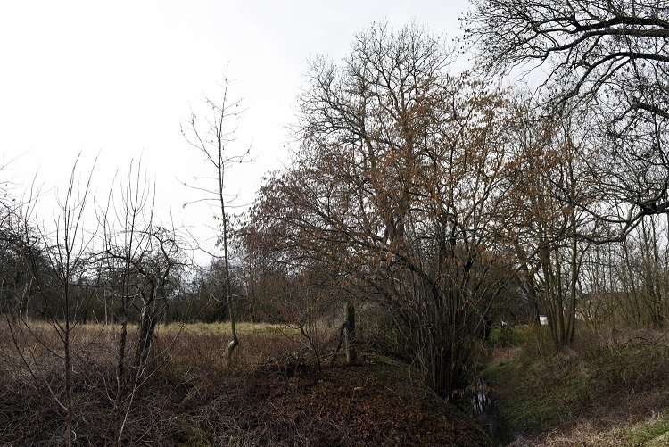 20a-Weißenfels Schkortleben Mündungsbereich Bach In Saale Blick Nach Westen