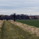 21-Brachstedt Verbindungsweg Zwischen K2136 & Wurp Blick Nach Westen