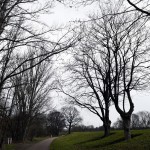 22a-Weißenfels Schkortleben Nordostende Deich An Saale Blick Nach Osten