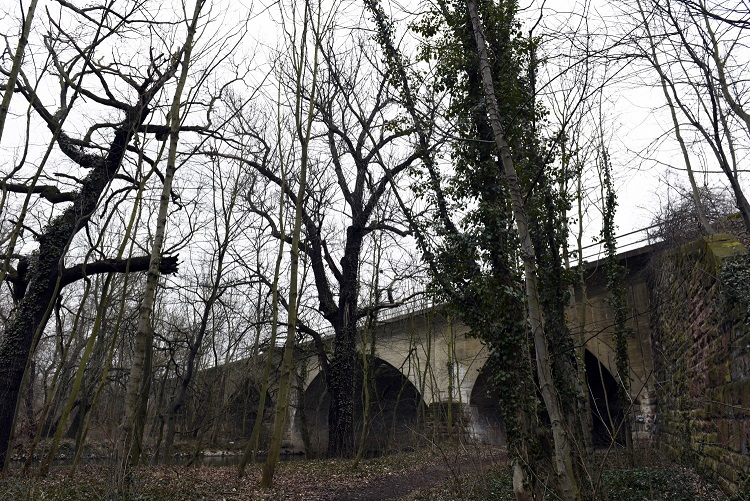 2a-Weißenfels Saaleauenwald Westlich Große Brücke