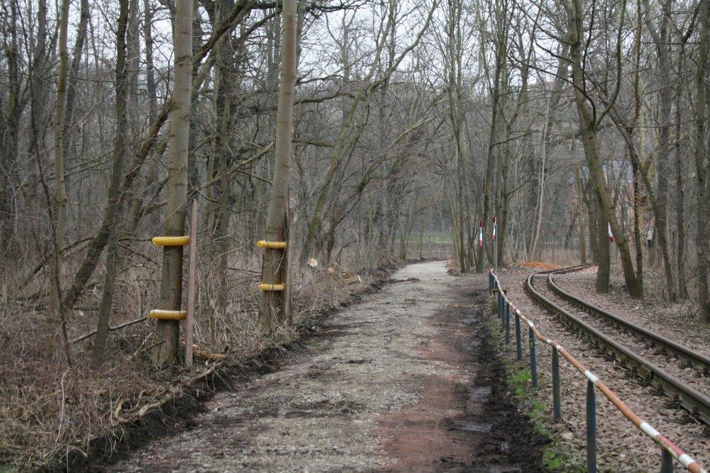 3-Halle Peißnitz Nordteil Blick Auf Südweg Peißnitznordspitze Nordosten