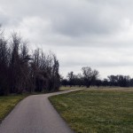 32a-Weißenfels Großkorbetha Blick Auf Streuobstwiese An Saale Nach Nordosten