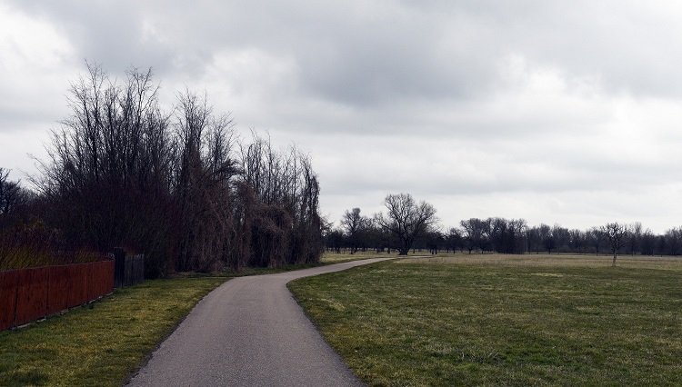 32a-Weißenfels Großkorbetha Blick Auf Streuobstwiese An Saale Nach Nordosten