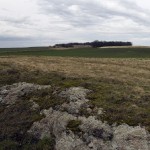 33a-Brachstedt Blick Vom Nordwestrand Streuobstwiese Nach Nordwesten Auf Abatassinenberg