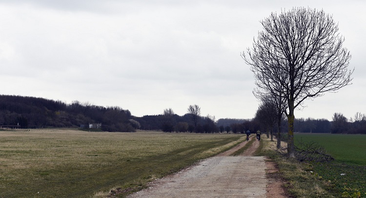 34a-Weißenfels Großkorbetha Blick Auf Verbindungsweg Nach Kraßlau Leina Nach Nordosten