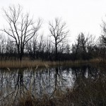 35a-Weißenfels Großkorbetha Blick Auf Saalealtverlauf Nach Osten & Südosten