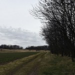 36a-Brachstedt Blick Zum Abatassinenberg Nach Nordwesten