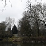 3a-Weißenfels Saaleauenwald Westlich Große Brücke Blick Nach Südwesten