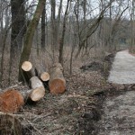 4-Halle Peißnitz Nordteil Blick Auf Südweg Peißnitznordspitze Nordosten