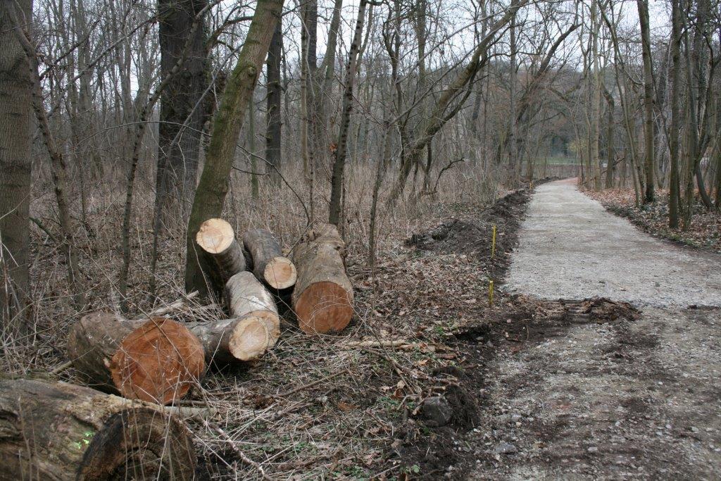 4-Halle Peißnitz Nordteil Blick Auf Südweg Peißnitznordspitze Nordosten