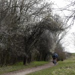 41a-Bad Dürrenberg Radwanderweg Nordöstlich Kleinkorbetha