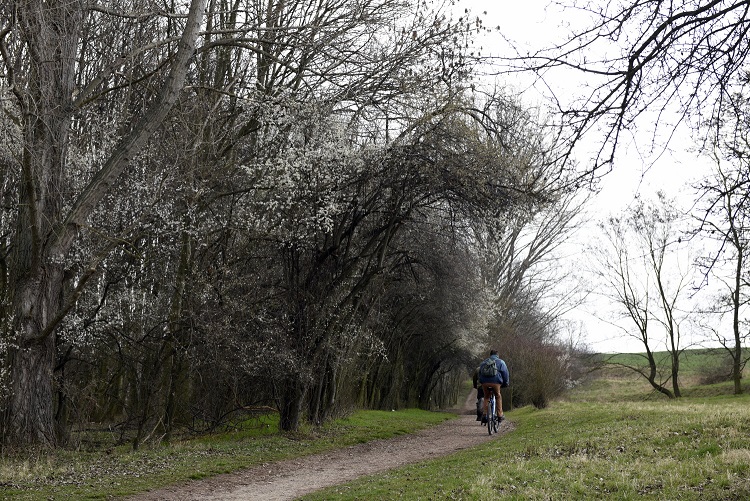 41a-Bad Dürrenberg Radwanderweg Nordöstlich Kleinkorbetha
