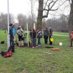 4a-Halle Ziegelwiese Baum Gepflanzt