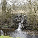 53a-Leuna Schladebach Der Bach & Teich Südwestlich Rathenaustraße