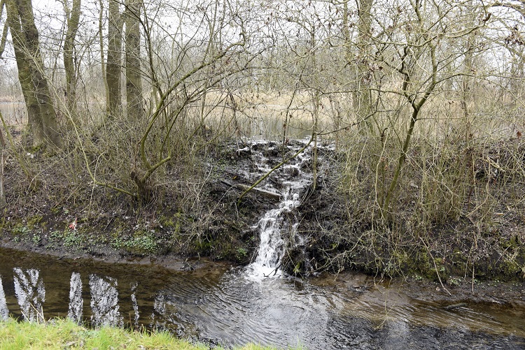 53a-Leuna Schladebach Der Bach & Teich Südwestlich Rathenaustraße