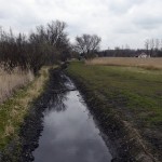 54a-Leuna Schladebach Der Bach & Teich Südlich Rathenaustraße Blick Nach Osten Bachaufwärts