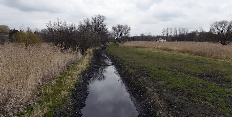 54a-Leuna Schladebach Der Bach & Teich Südlich Rathenaustraße Blick Nach Osten Bachaufwärts