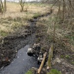 56a-Leuna Schladebach Floßgraben Am Überlauf Zum Teich Südwestlich Rathenaustraße