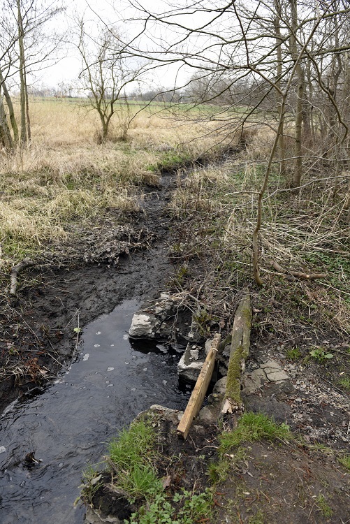 56a-Leuna Schladebach Floßgraben Am Überlauf Zum Teich Südwestlich Rathenaustraße