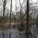 57a-Leuna Schladebach Teich Zwischen Floßgraben & Der Bach Südwestlich Rathenaustraße