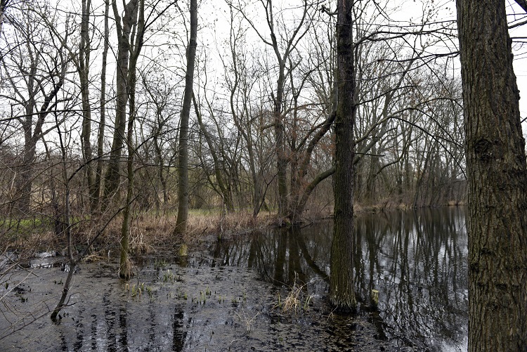 57a-Leuna Schladebach Teich Zwischen Floßgraben & Der Bach Südwestlich Rathenaustraße
